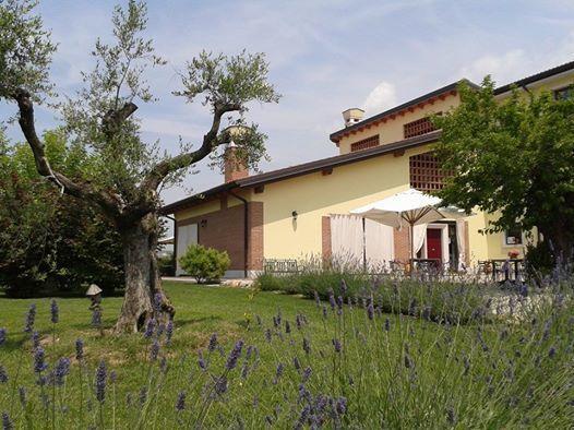 Agriturismo Anna Caterina Hotel กัสเตลนูโอโว เดล การ์ดา ภายนอก รูปภาพ