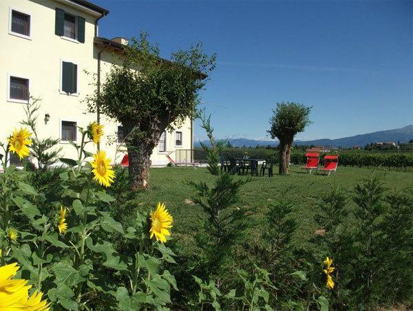 Agriturismo Anna Caterina Hotel กัสเตลนูโอโว เดล การ์ดา ภายนอก รูปภาพ